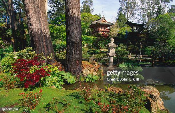 japanese tea garden in golden gate park, low angle view, san francisco, united states of america - japanese garden stock pictures, royalty-free photos & images
