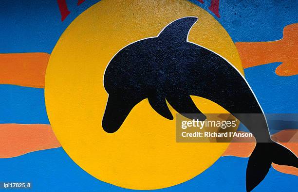 dolphin mural detail on shop wall, puerto baquerizo moreno, ecuador - puerto stock-fotos und bilder