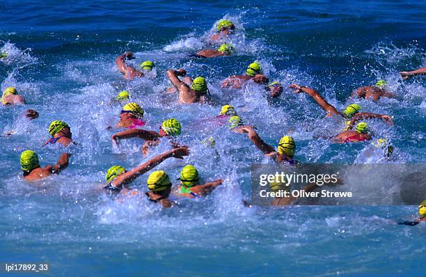 surf swim at bondi beach, rear view, sydney, australia - sydney fotografías e imágenes de stock