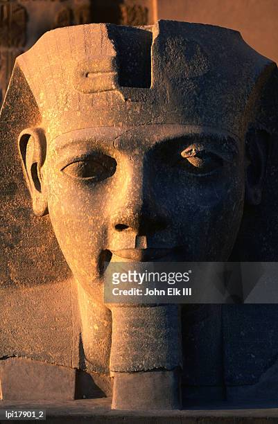 statue of ramses ii at luxor temple, front view, luxor, egypt - ii stock pictures, royalty-free photos & images