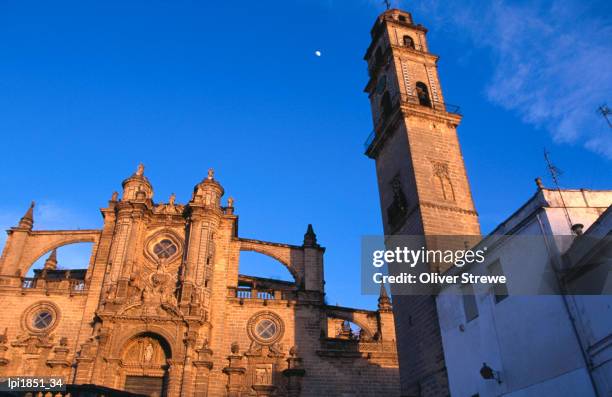 the 18th century cathedral with its 15th century belltower set slightly apart - jerez de la frontera, andalucia, jerez de la frontera, spain - fronteira stock pictures, royalty-free photos & images