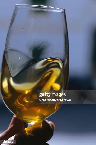 extra virgin olive oil in a wine glass, spain - wine glass finger food stock-fotos und bilder