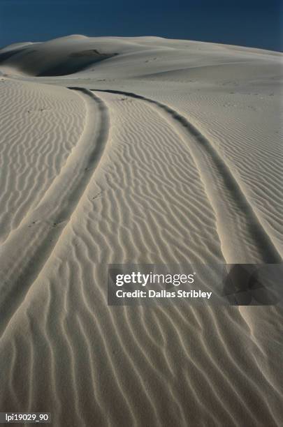 tyre tracks leading into stockton sand dunes. - car tyre stock-fotos und bilder