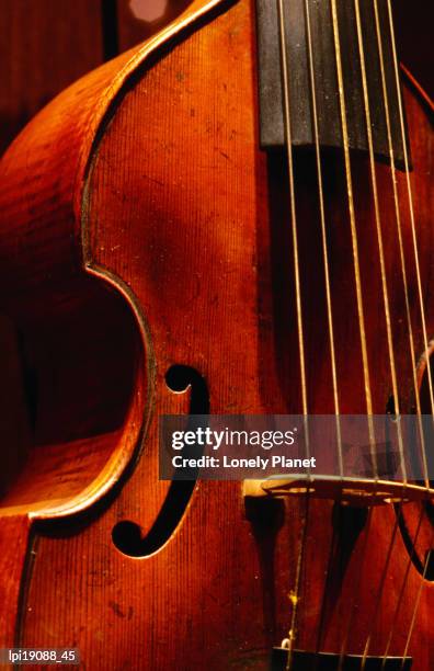 stringed instrument in museum, brussels, belgium - brabant flamand photos et images de collection
