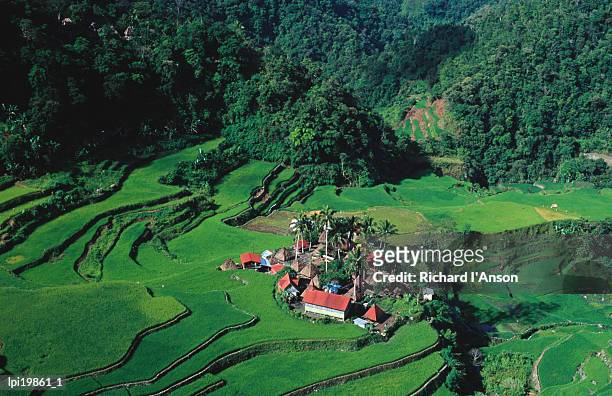 village surrounded by  paddy fields, bangaan, philippines - ifugao province stock pictures, royalty-free photos & images