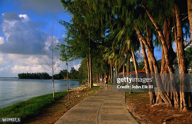 jogger on beach road park path, garapan, northern mariana islands - northern mariana islands stock-fotos und bilder