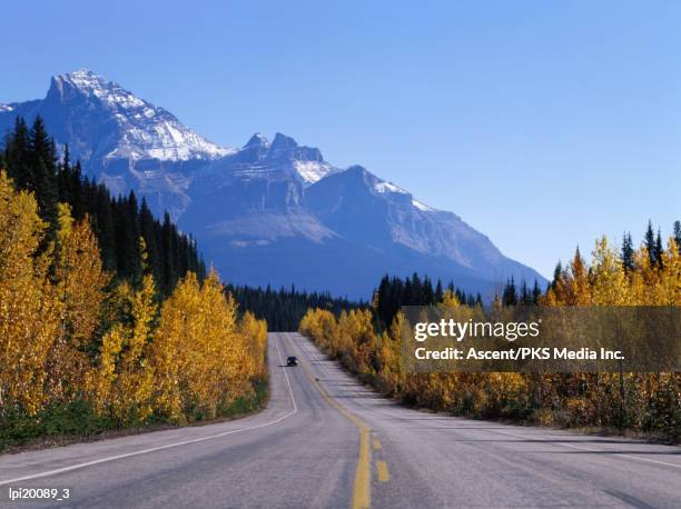 vehicle on icefields parkway near crossing, banff national park, canada - icefields-parkway stockfoto's en -beelden