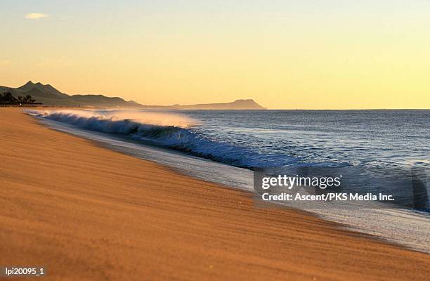 long beach at sunset, san jose de cabo, mexico - cabo stock pictures, royalty-free photos & images