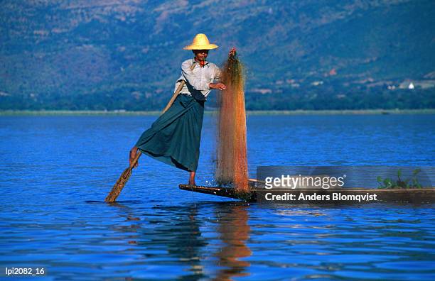 intha fisherman tending to nets and rowing in traditional manner with legs, inle lake, shan state, myanmar (burma), south-east asia - east lake stock pictures, royalty-free photos & images