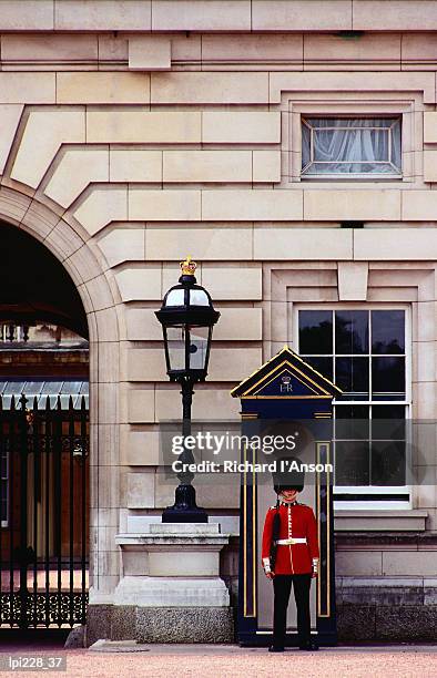 guard at buckingham palace, london, united kingdom, england, europe - buckingham palace stock pictures, royalty-free photos & images