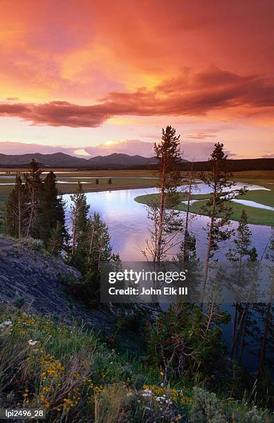 yellowstone river meandering through hayden valley at sunset, yellowstone national park, united states of america - río-yellowstone fotografías e imágenes de stock
