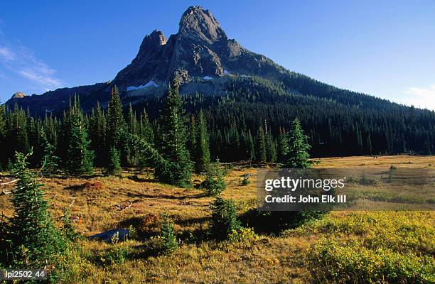 meadows at washington pass, north cascades national park, united states of america - passer ストックフォトと画像