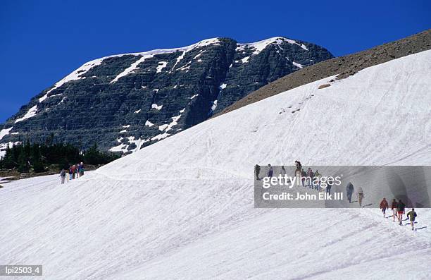 hikers trekking through the snow on the hidden lake trail at logan pass, glac1er national park, united states of america - logan pass imagens e fotografias de stock