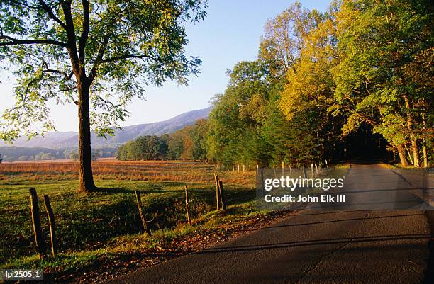 cades cove at sunset, low angle view, great smoky mountains national park, united states of america - cades cove imagens e fotografias de stock