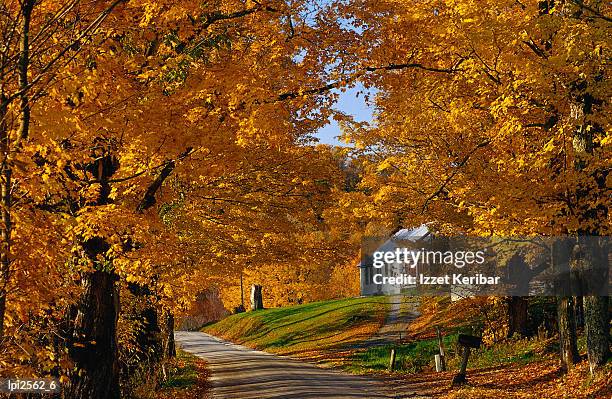 country road in autumn, low angle view, united states of america - keribar stockfoto's en -beelden