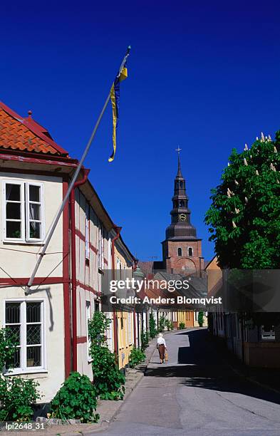 old town (or gamla stan)street with traditional half-timbered houses, ystad, skane, sweden, europe - contea di stoccolma foto e immagini stock