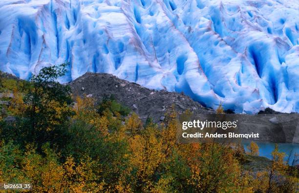 autumn colours and icefall at briksdalsbreen glacier, finnmark, norway, europe - glaciar de briksdalsbreen fotografías e imágenes de stock