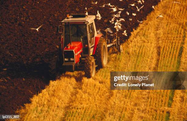 tractor driving on field. - east riding of yorkshire stock-fotos und bilder