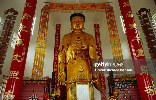 large golden standing buddha inside ten thousand buddhas monastery, sha tin, sha tin, hong kong, china, north-east asia - sha foto e immagini stock