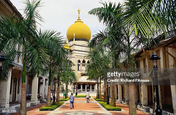 sultan mosque, country's largest mosque, built in 1825, singapore, south-east asia - singapore stock-fotos und bilder