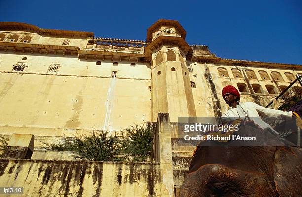 man on elephant below amber fort, rajasthan, india, indian sub-continent - amber fort - fotografias e filmes do acervo