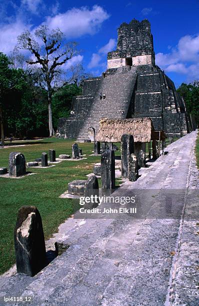 temple ii from north acropolis, tikal, guatemala - ii stock pictures, royalty-free photos & images