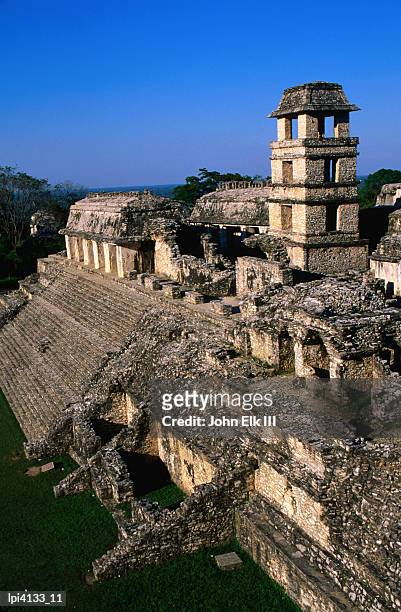 high angle view of the palace (el palac1o), palenque, mexico - esel fotografías e imágenes de stock