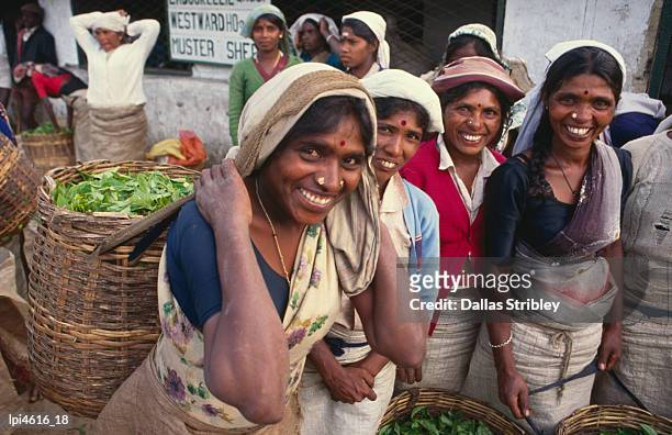 tea pickers outside factory. - general economy as central bank of sri lanka looks to contain rising inflation stockfoto's en -beelden
