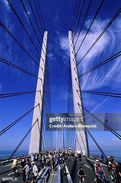 cycling day on oresund bridge, copenhagen, denmark, europe - sontregio stockfoto's en -beelden