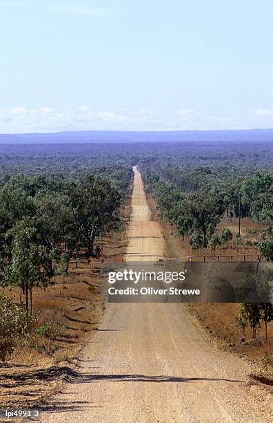 dirt road in outback, cape york peninsula, australia - cape peninsula bildbanksfoton och bilder