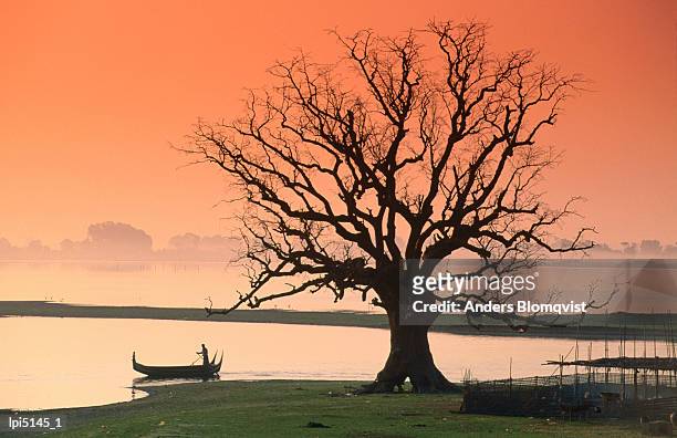 bare tree and boat on edge of taungthaman lake at sunrise, amarapura, mandalay, myanmar (burma), south-east asia - east lake stock pictures, royalty-free photos & images