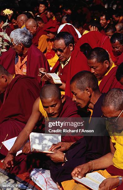 monks reading sacred text during puja (prayers) at annual ningma monlam gathering at mahabodhi temple, bodhgaya, bihar, india, indian sub-continent - pooja stock-fotos und bilder