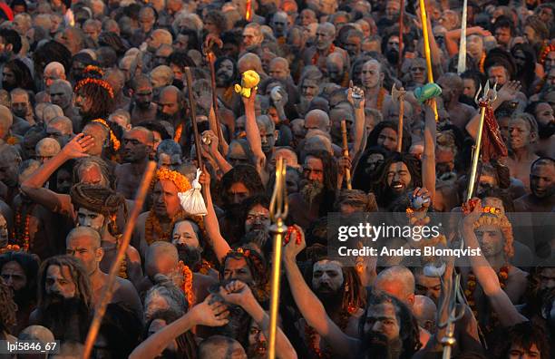 naga sadhus at maha kumbh mela festival, allahabad, india - kumbh mela at allahabad stock-fotos und bilder