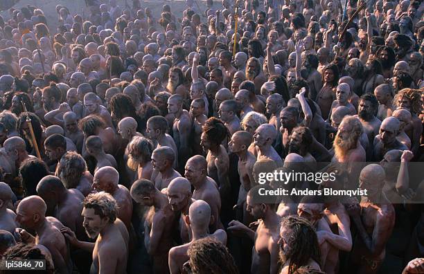 crowds of naga sadhus during maha kumbh mela festival, allahabad, india - maha kumbh stock pictures, royalty-free photos & images