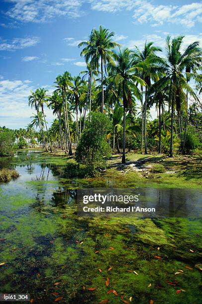 village and lagoon, marang, terengganu, malaysia, south-east asia - east southeast stock pictures, royalty-free photos & images
