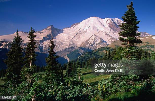 mt rainier and emmons glac1er from the sunrise area of mt rainier national park, mt rainier national park, united states of america - iii stock pictures, royalty-free photos & images