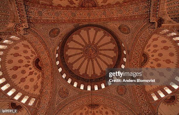 domed ceiling of blue mosque, low angle view, istanbul, turkey - sultanahmet viertel stock-fotos und bilder