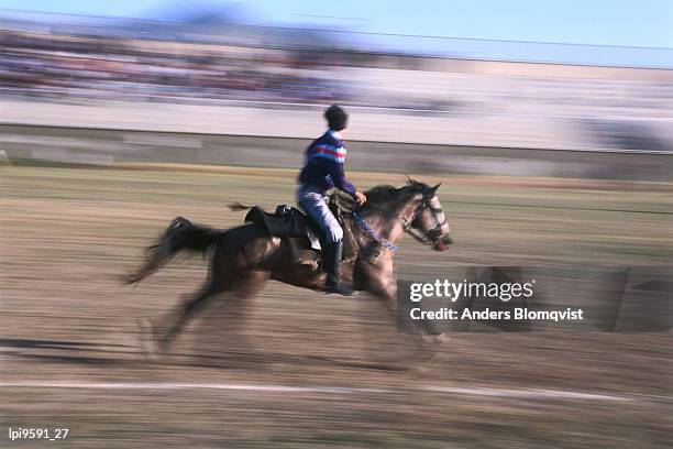 game of cirit, javelin throwing on horseback, side view, blur, erzurum, turkey - anders blomqvist 個照片及圖片檔