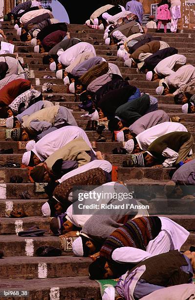 worshippers praying on steps of jama masjid, delhi, india, indian sub-continent - indian subcontinent ethnicity bildbanksfoton och bilder