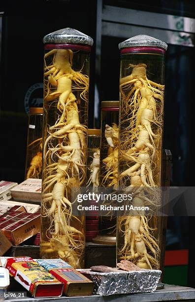 bottled ginseng root at namdaemun market, seoul, south korea, north-east asia - dior addict stellar shine april 2019 tokyo or seoul bildbanksfoton och bilder