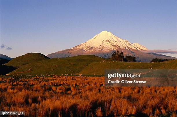 snow-capped mt taranaki from across plain., taranaki, north island, new zealand, australasia - dormant volcano stock pictures, royalty-free photos & images