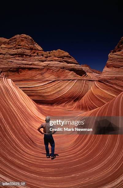 eroded sandstone formation, the wave, near the arizona utah border, on the slopes of the coyote buttes, united states of america, north america - colorado national monument stockfoto's en -beelden