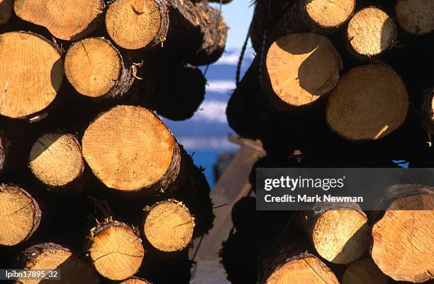 logging., homer, alaska, united states of america, north america - south central alaska stock-fotos und bilder