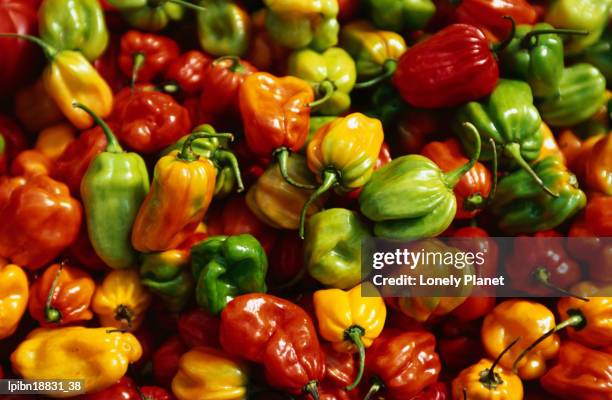 capsicums at brixton market, brixton., london, greater london, united kingdom, england, europe - orangefarbige paprika stock-fotos und bilder