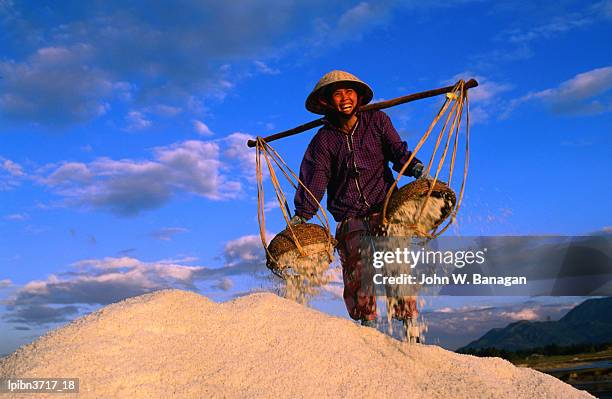 female labourer carrying sea salt in salt fields of doc let beach, khanh hoa, vietnam, south-east asia - east beach stock pictures, royalty-free photos & images