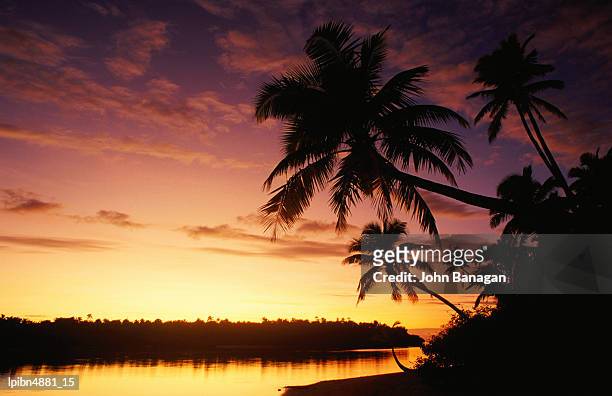 coconut palms over aitutaki lagoon, aitutaki, southern group, cook islands, pacific - pacific war stock-fotos und bilder