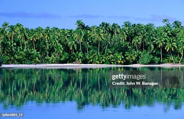 palm trees on aitutaki lagoon, aitutaki, southern group, cook islands, pacific - pacific war stock-fotos und bilder