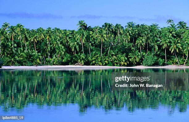 palm trees on aitutaki lagoon, aitutaki, southern group, cook islands, pacific - aitutaki stock pictures, royalty-free photos & images