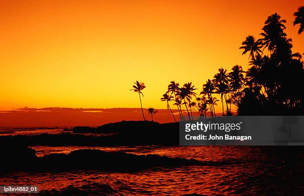 sunset over paradise beach, upolu, samoa, upolu, pacific - banagan stock pictures, royalty-free photos & images