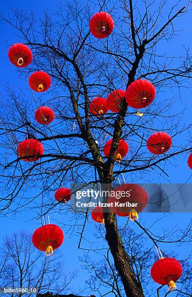 chinese lanterns hanging from trees in tivoli gardens., copenhagen, copenhagen, denmark, europe - tivoli copenhagen stock-fotos und bilder